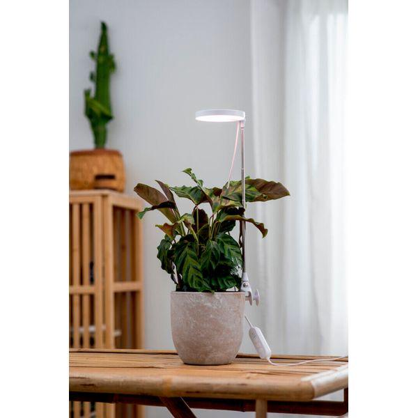 Plant lamp Airam Rose, 290 lm - SPEED LIGHT